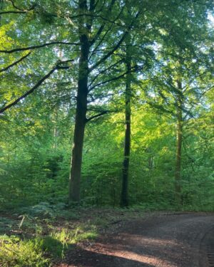 Klimavenlig mad