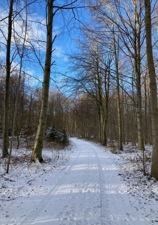 Meditation & Naturglæde